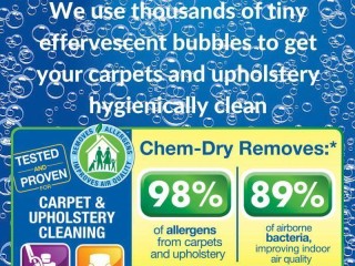 Chem-Dry Suncoast 74 image 3