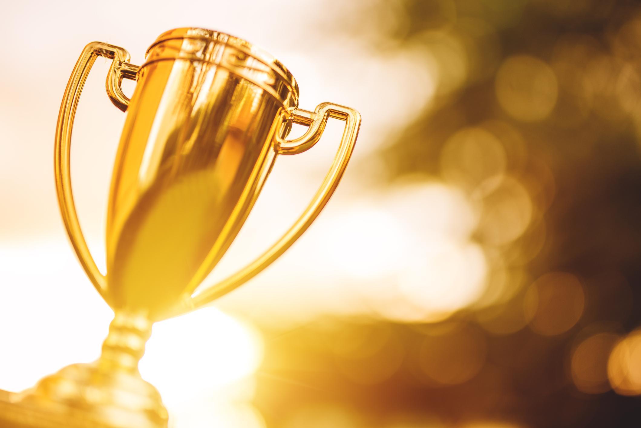 Premium Profits 99 image 1