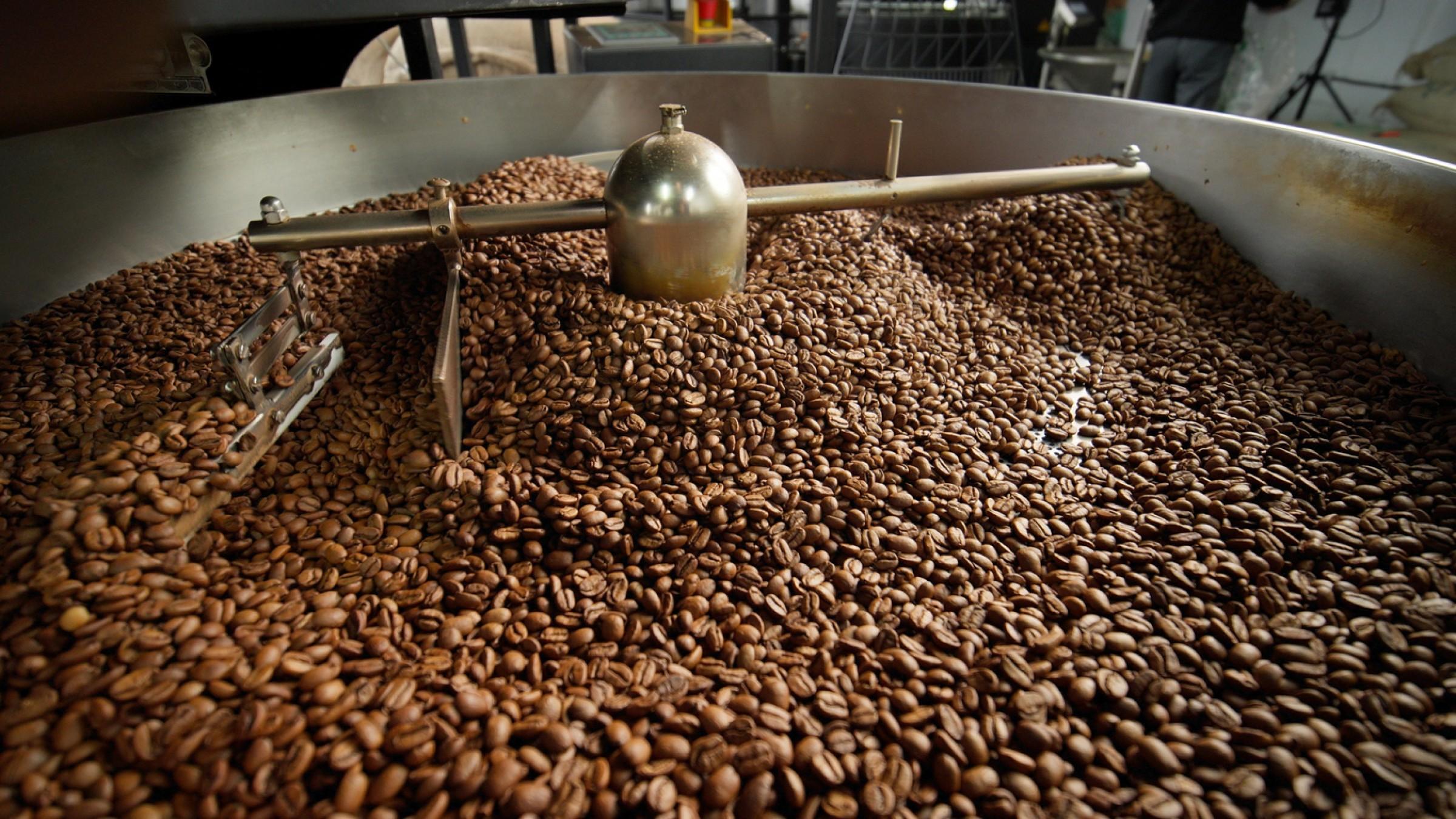 Sunshine Coast Specialty Coffee Roastery 367 image 1