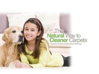 Chem-Dry Suncoast 74 image 2