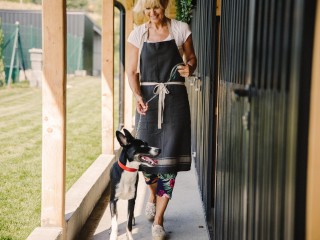 Freehold Pet Resort 362 image 2