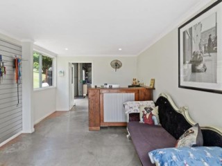 Freehold Pet Resort 362 image 4