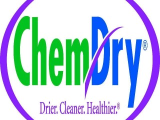 Chem-Dry Suncoast 74 image 4